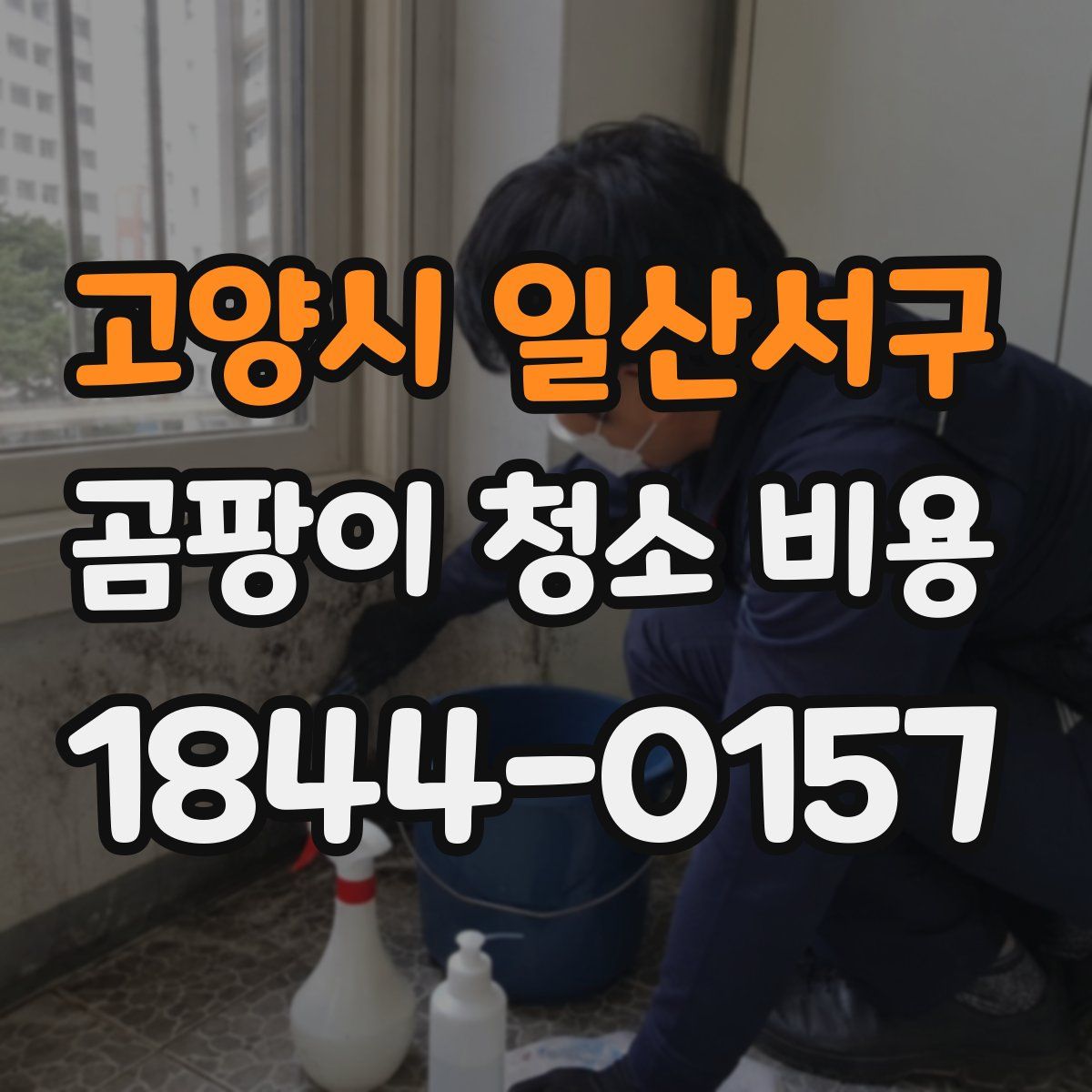 고양시 일산서구 곰팡이 청소 비용