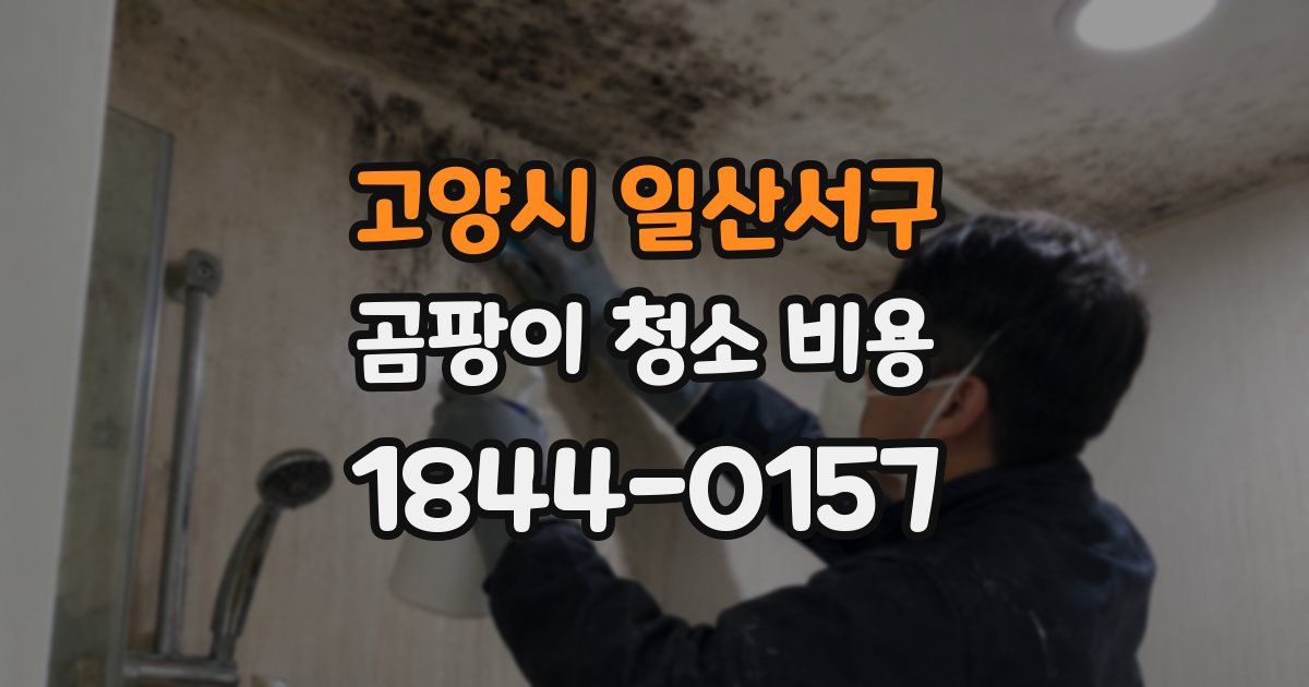 고양시 일산서구 곰팡이 청소 비용