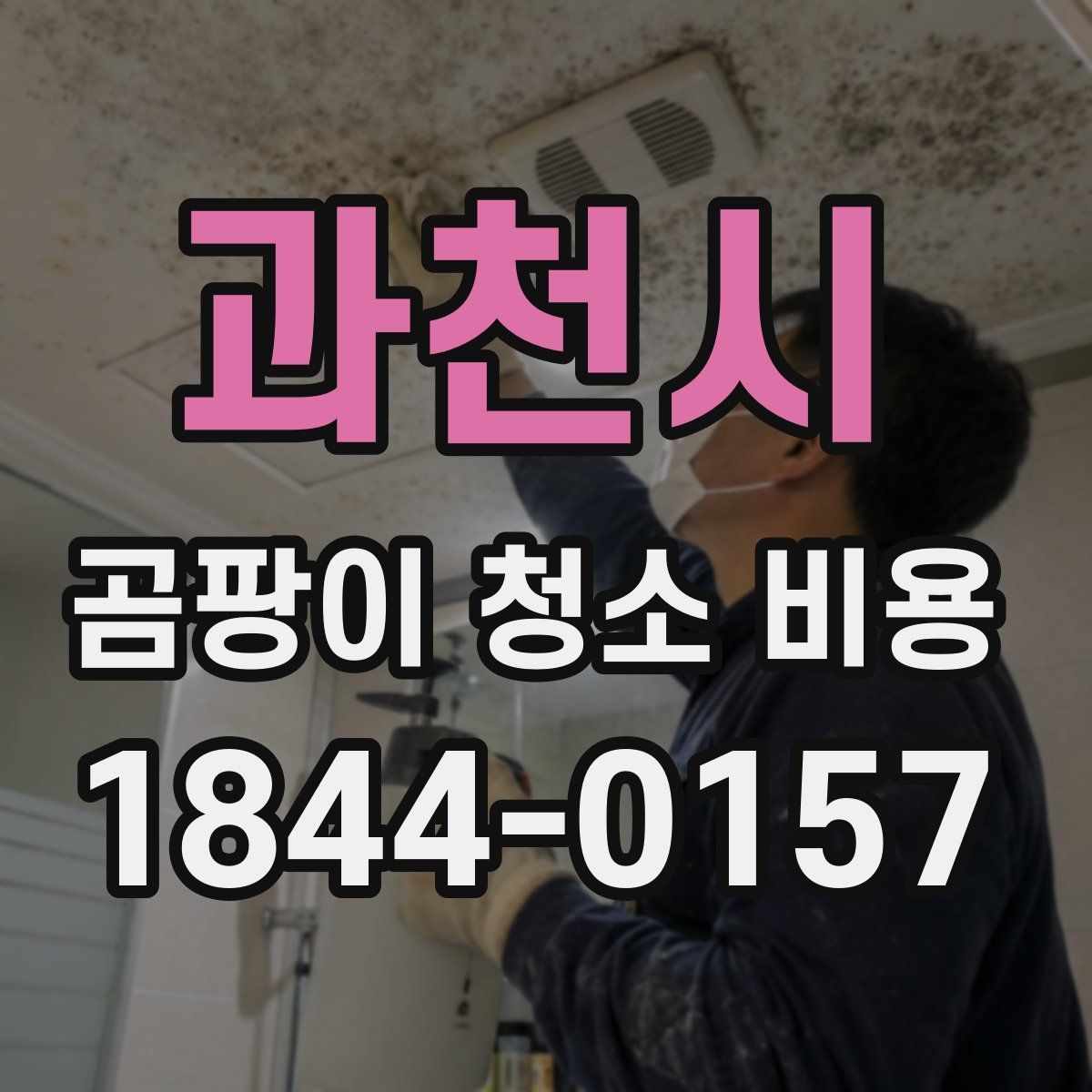 과천시 곰팡이 청소 비용