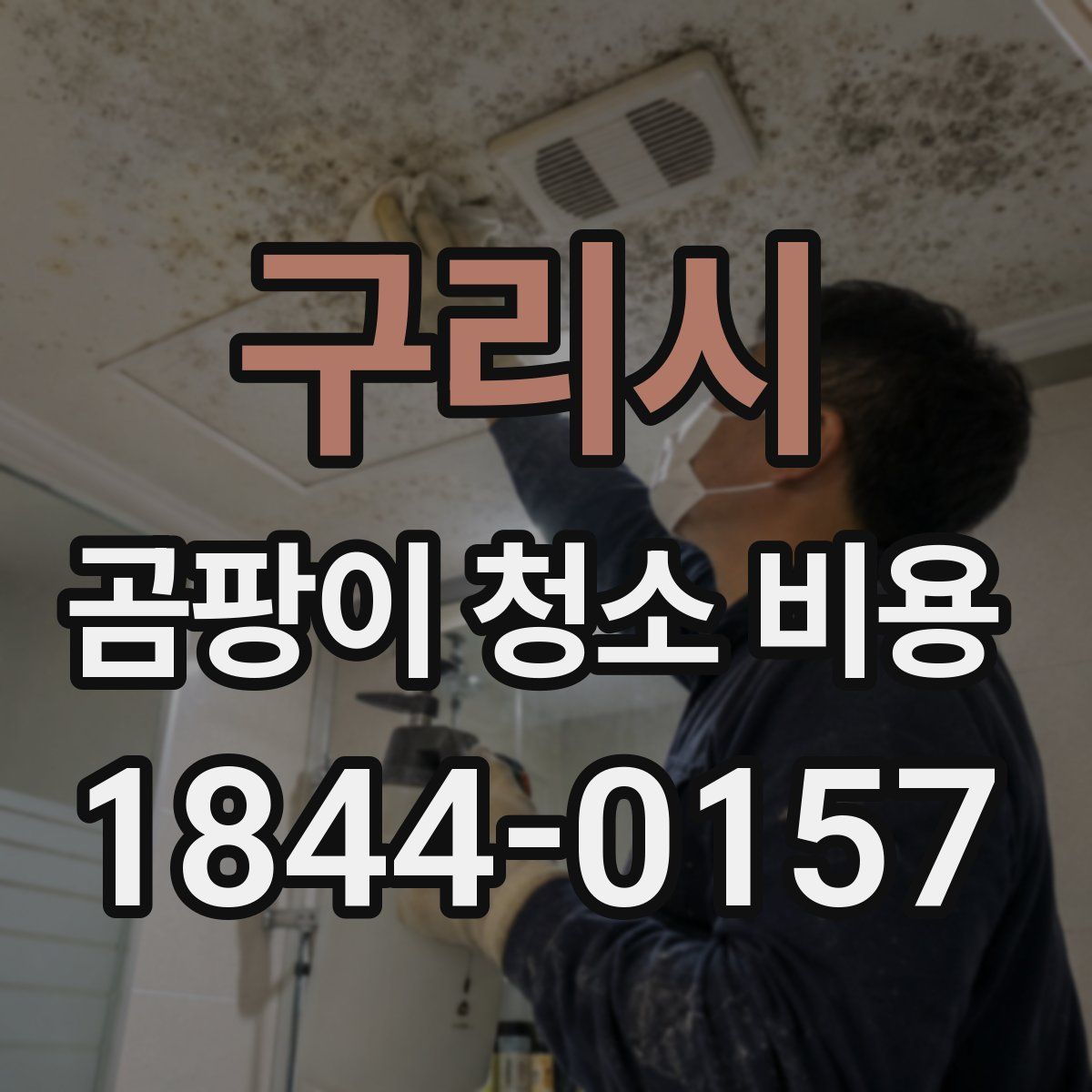 구리시 곰팡이 청소 비용