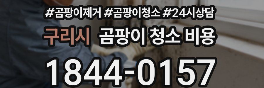 구리시 곰팡이 청소 비용