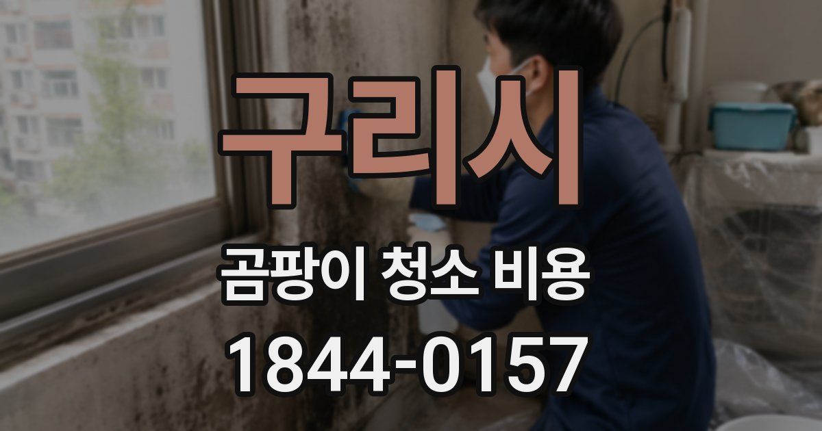 구리시 곰팡이 청소 비용