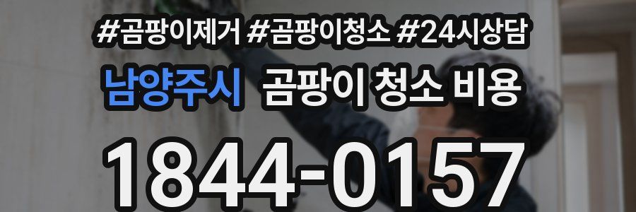 남양주시 곰팡이 청소 비용