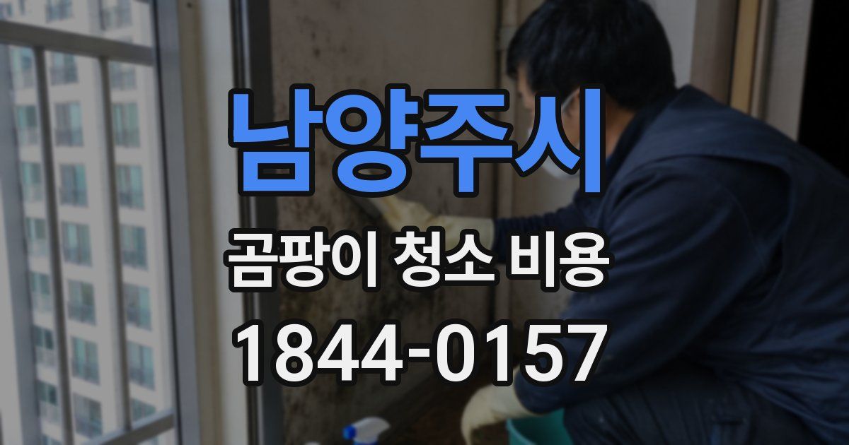 남양주시 곰팡이 청소 비용