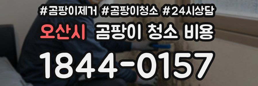 오산시 곰팡이 청소 비용