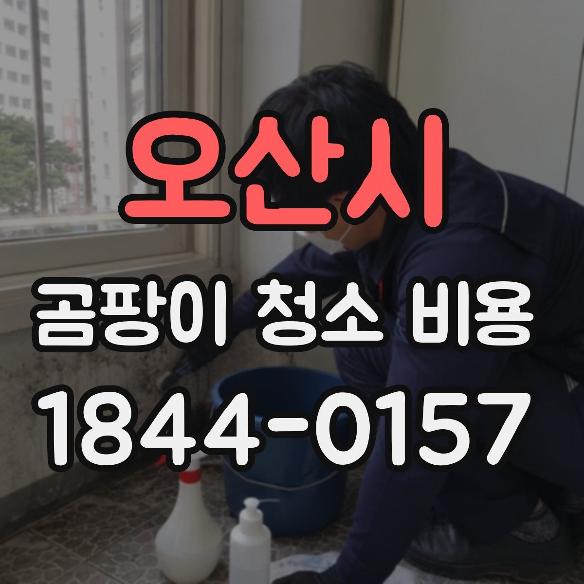 오산시 곰팡이 청소 비용