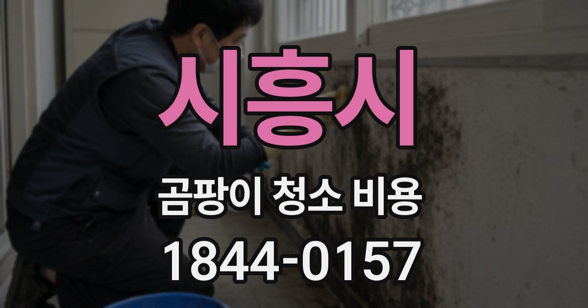 시흥시 곰팡이 청소 비용