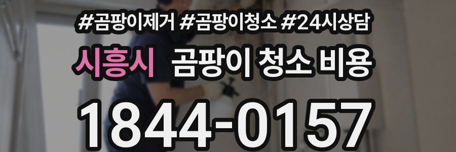 시흥시 곰팡이 청소 비용