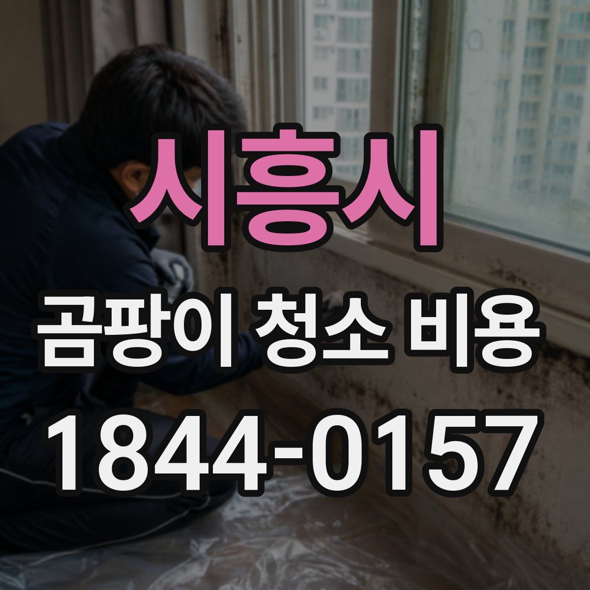 시흥시 곰팡이 청소 비용