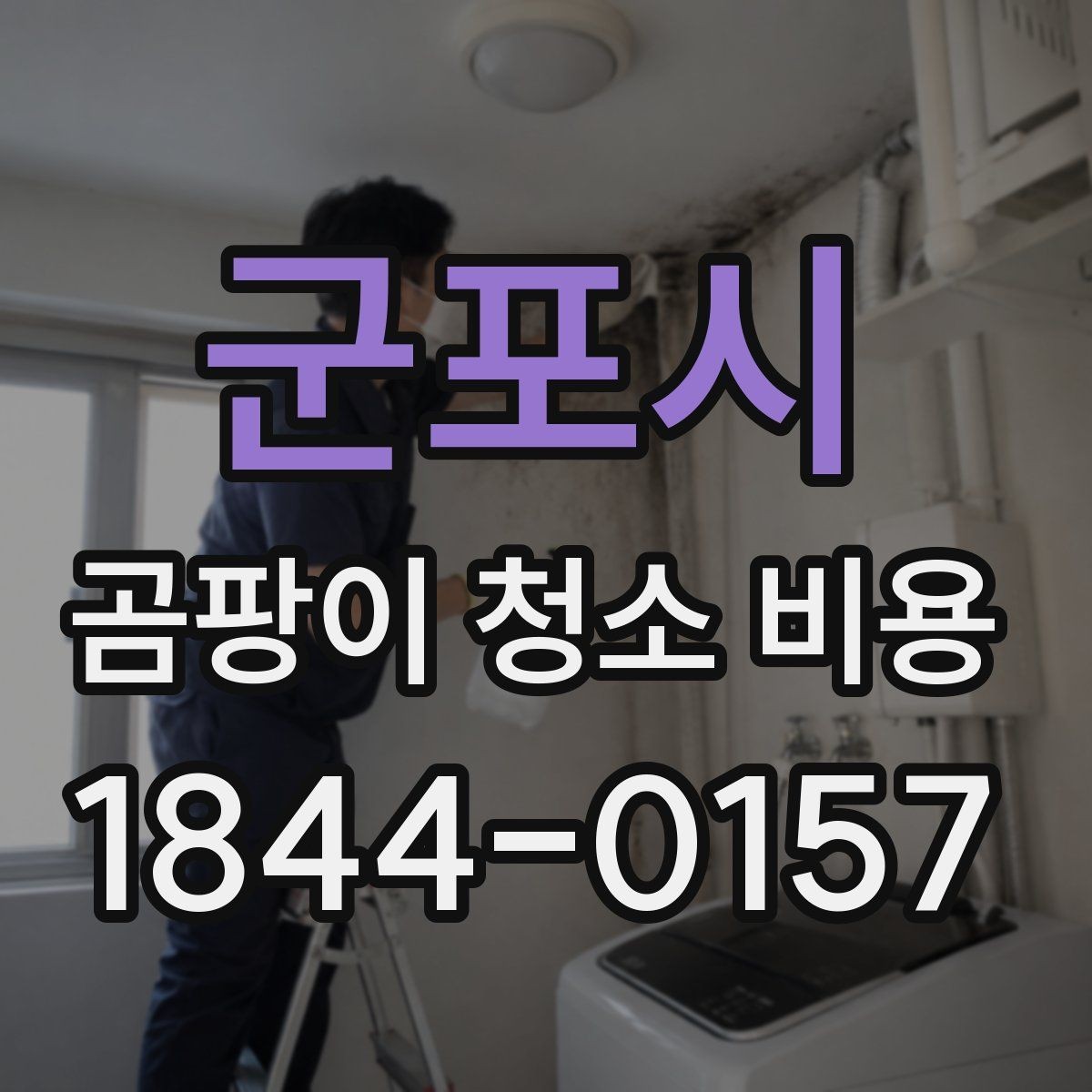 군포시 곰팡이 청소 비용 현장 인건비가 크게 달라지는 기준