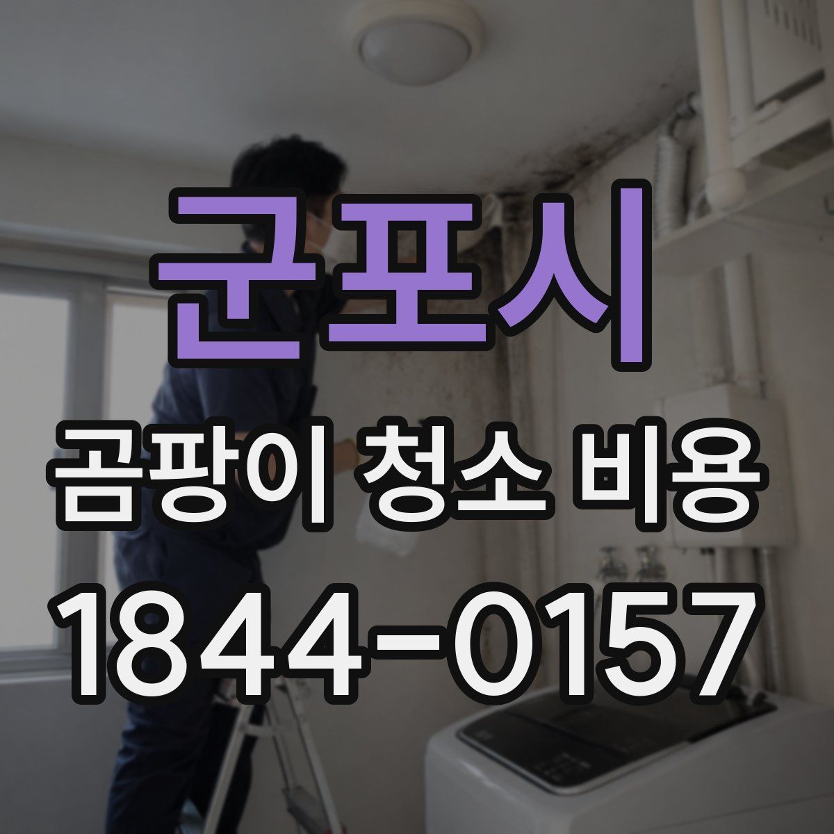 군포시 곰팡이 청소 비용