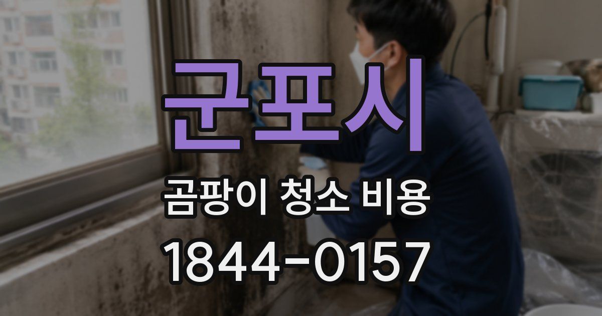 군포시 곰팡이 청소 비용