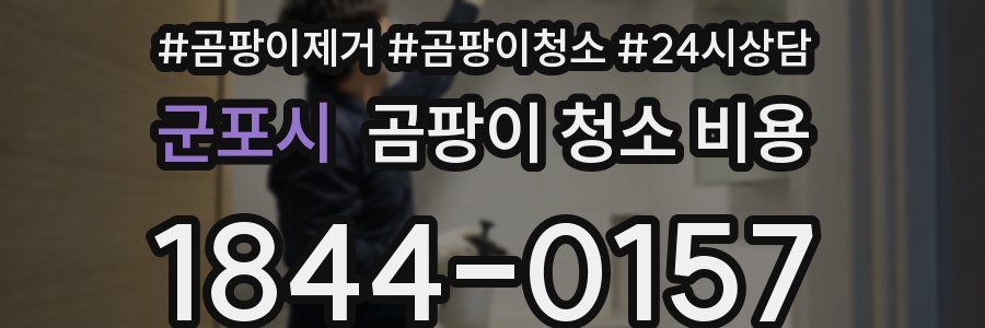 군포시 곰팡이 청소 비용
