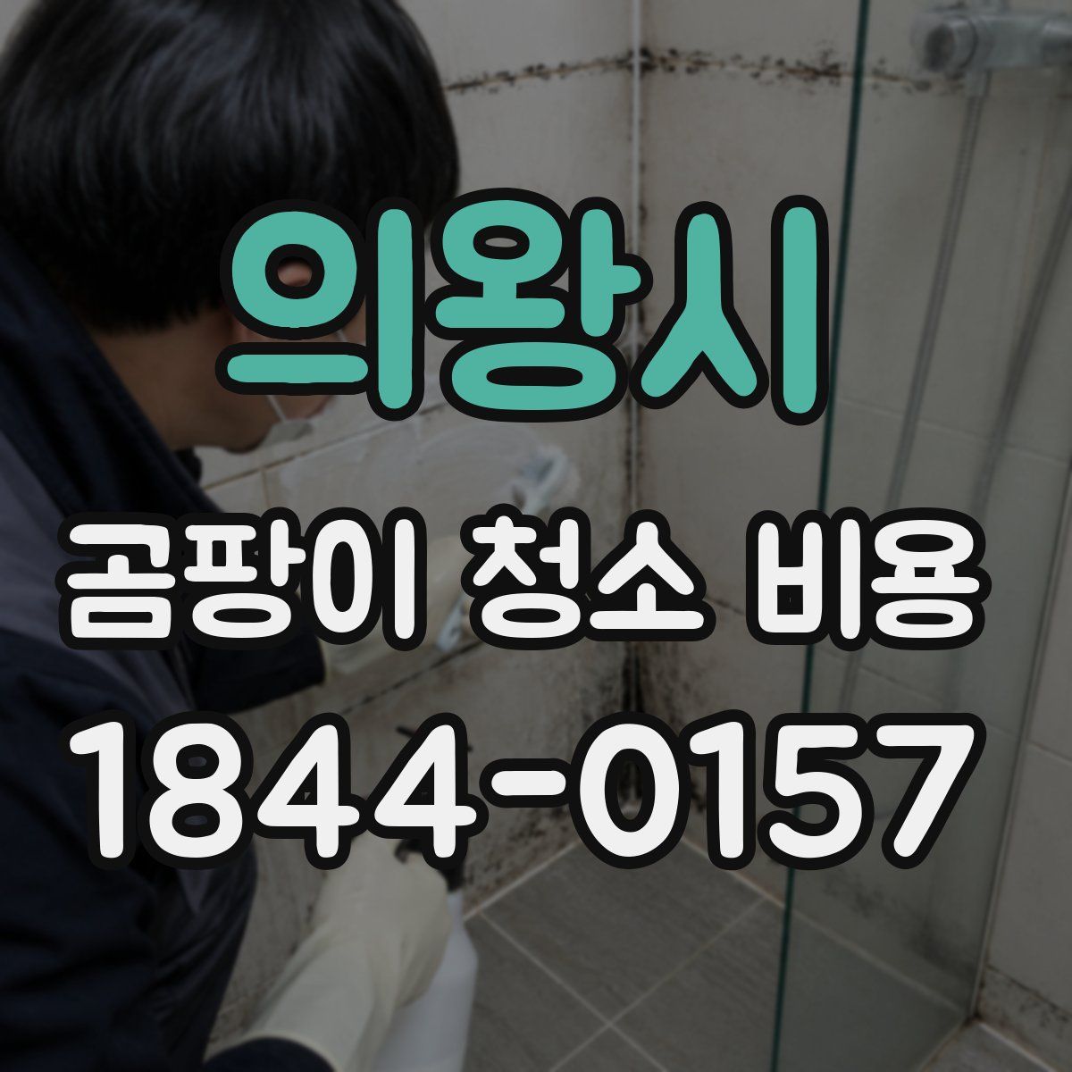 의왕시 곰팡이 청소 비용