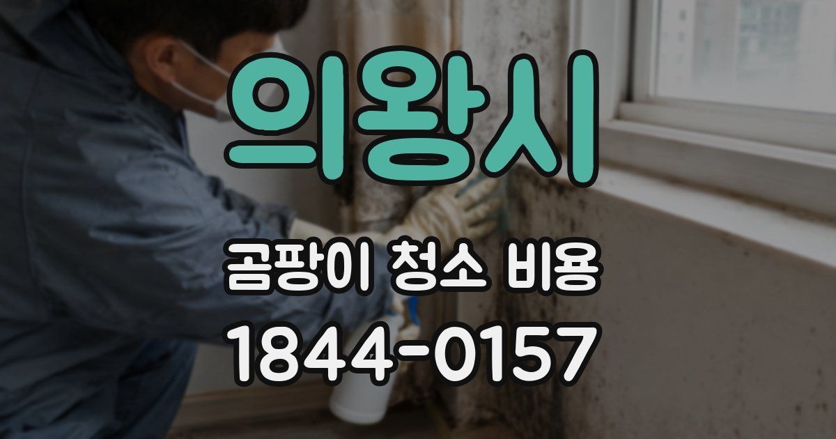 의왕시 곰팡이 청소 비용