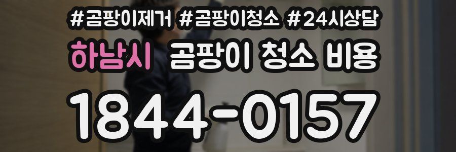 하남시 곰팡이 청소 비용