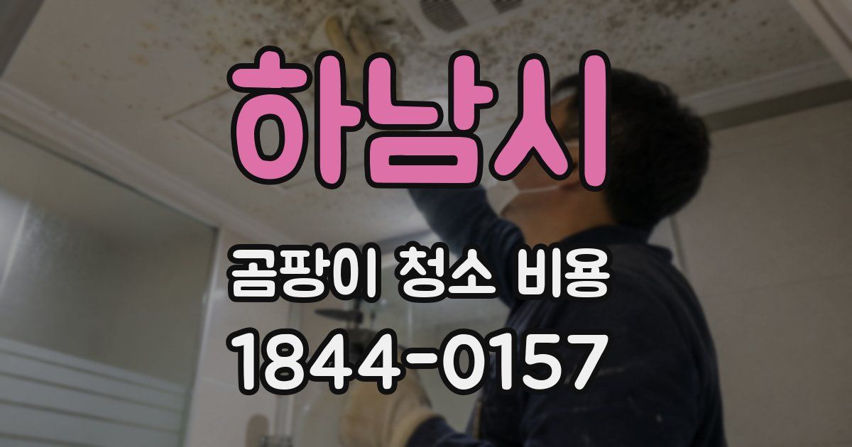 하남시 곰팡이 청소 비용