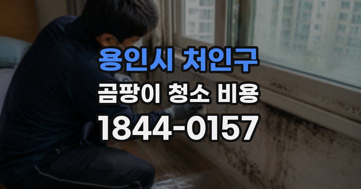 용인시 처인구 곰팡이 청소 비용