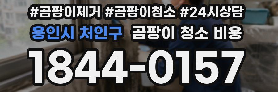 용인시 처인구 곰팡이 청소 비용