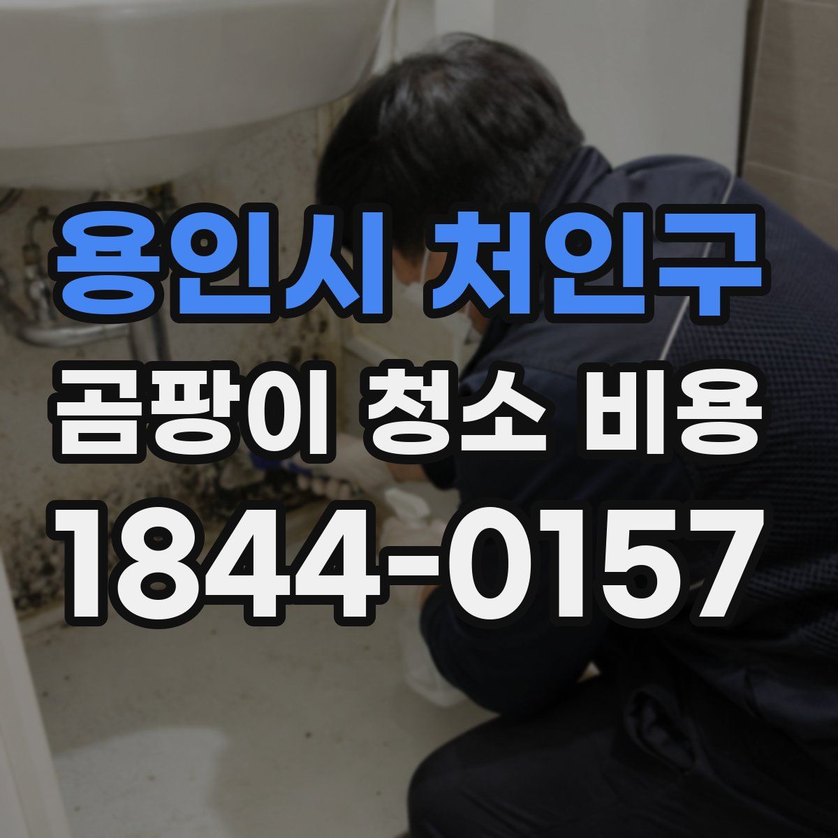 용인시 처인구 곰팡이 청소 비용
