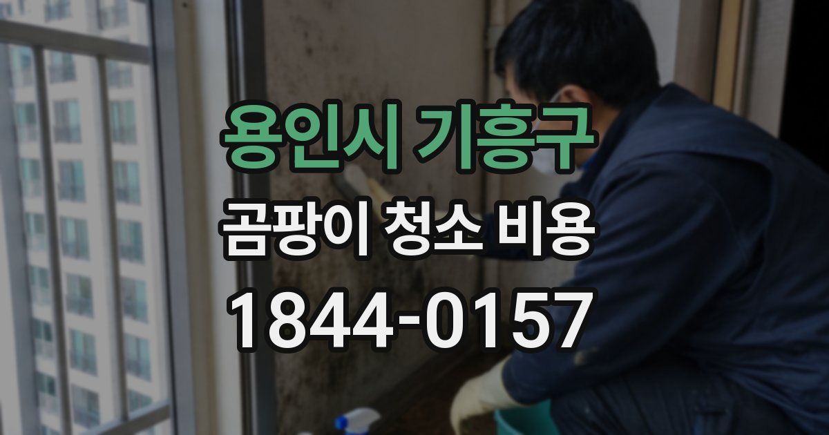 용인시 기흥구 곰팡이 청소 비용