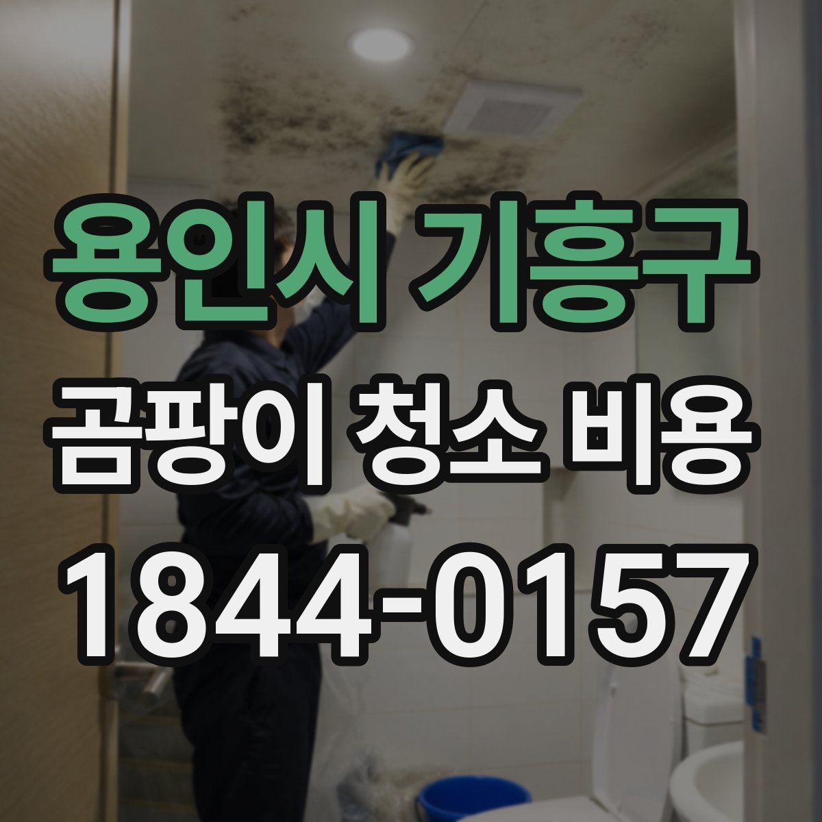 용인시 기흥구 곰팡이 청소 비용
