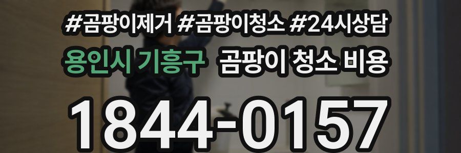 용인시 기흥구 곰팡이 청소 비용