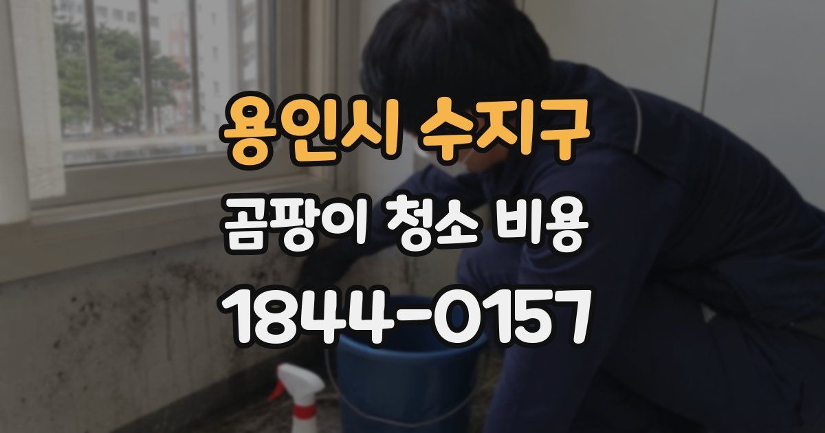 용인시 수지구 곰팡이 청소 비용