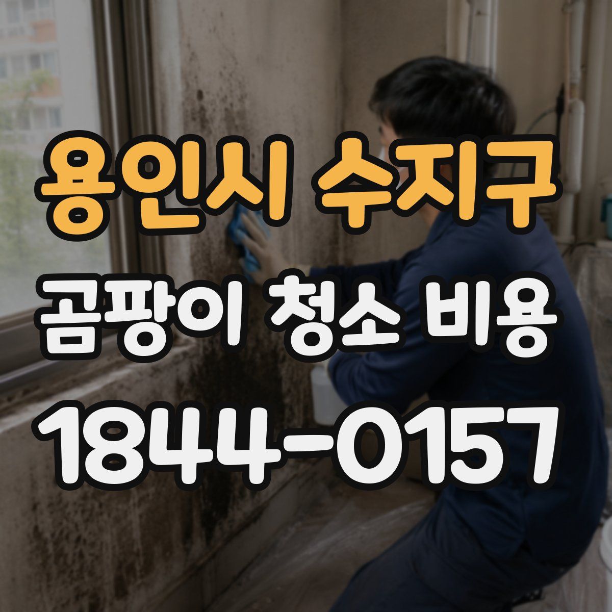 용인시 수지구 곰팡이 청소 비용