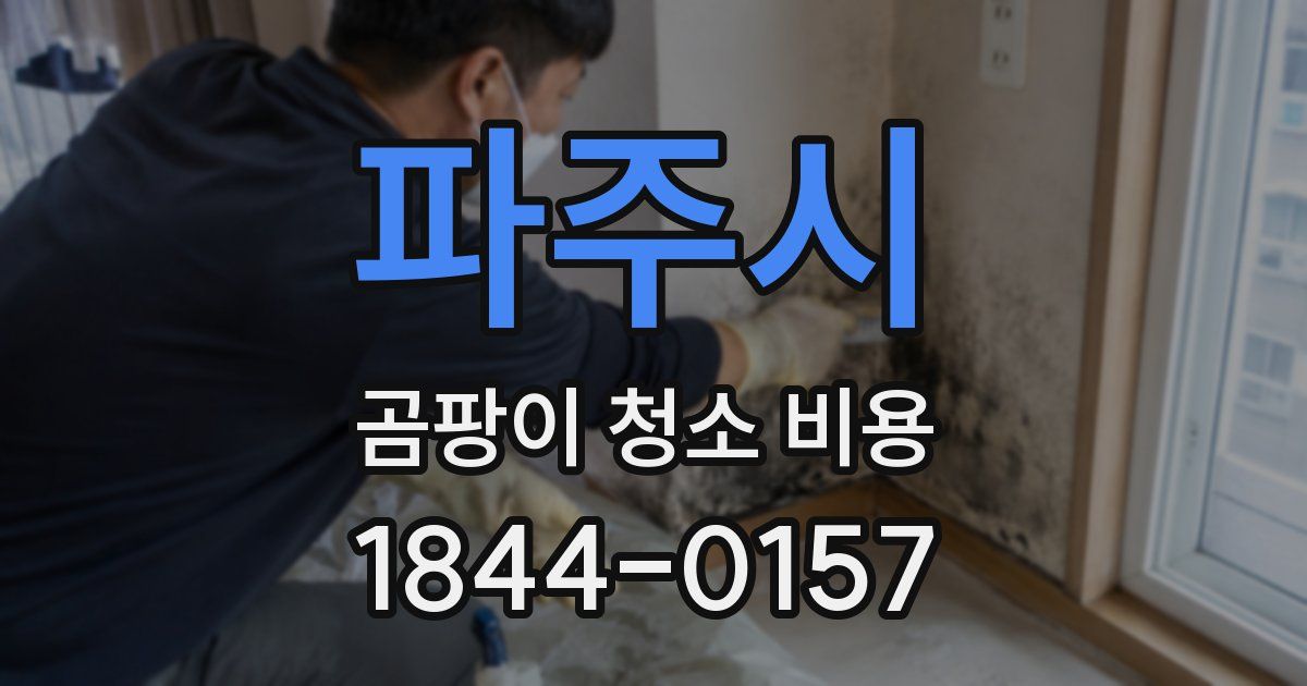 파주시 곰팡이 청소 비용