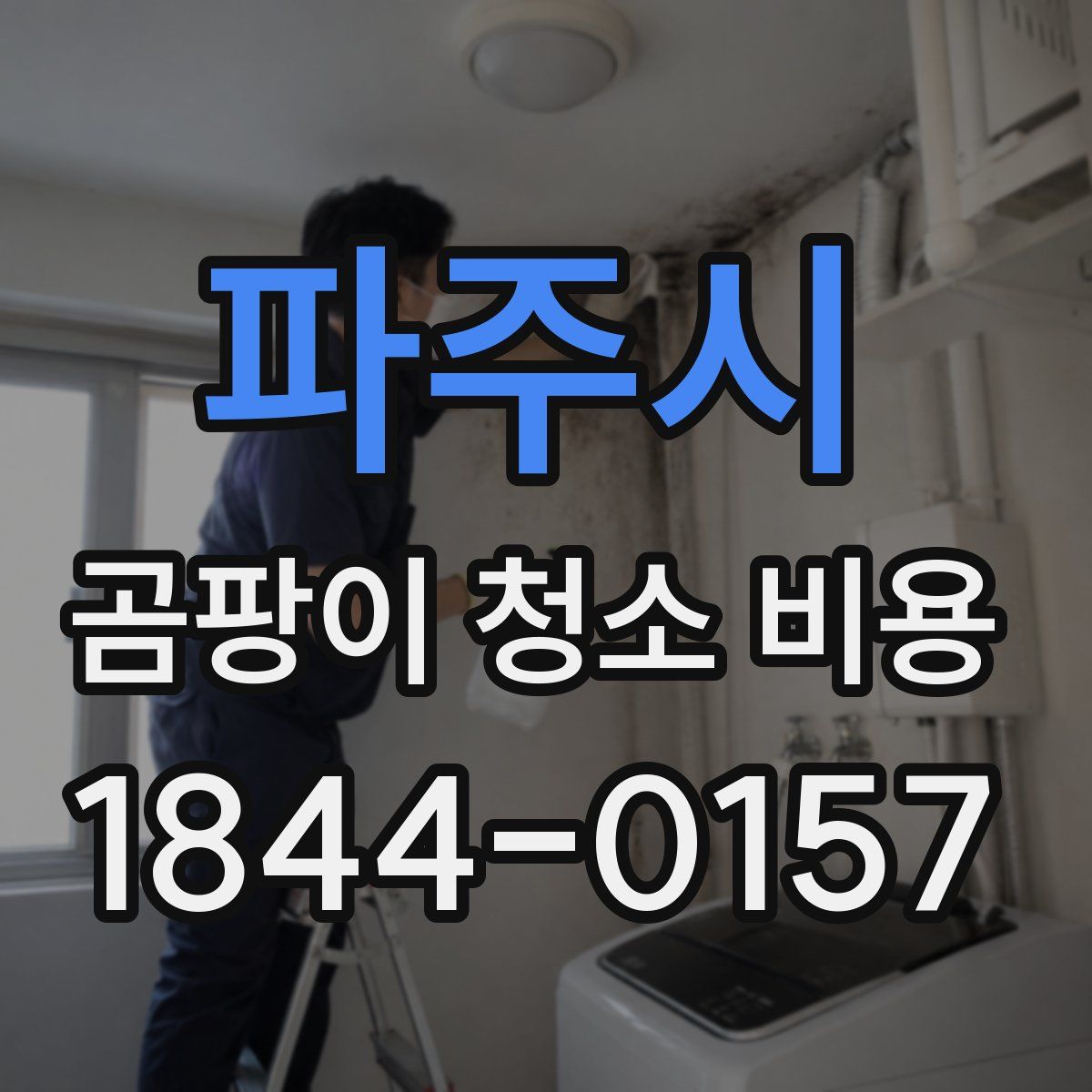 파주시 곰팡이 청소 비용