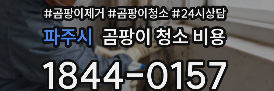 파주시 곰팡이 청소 비용