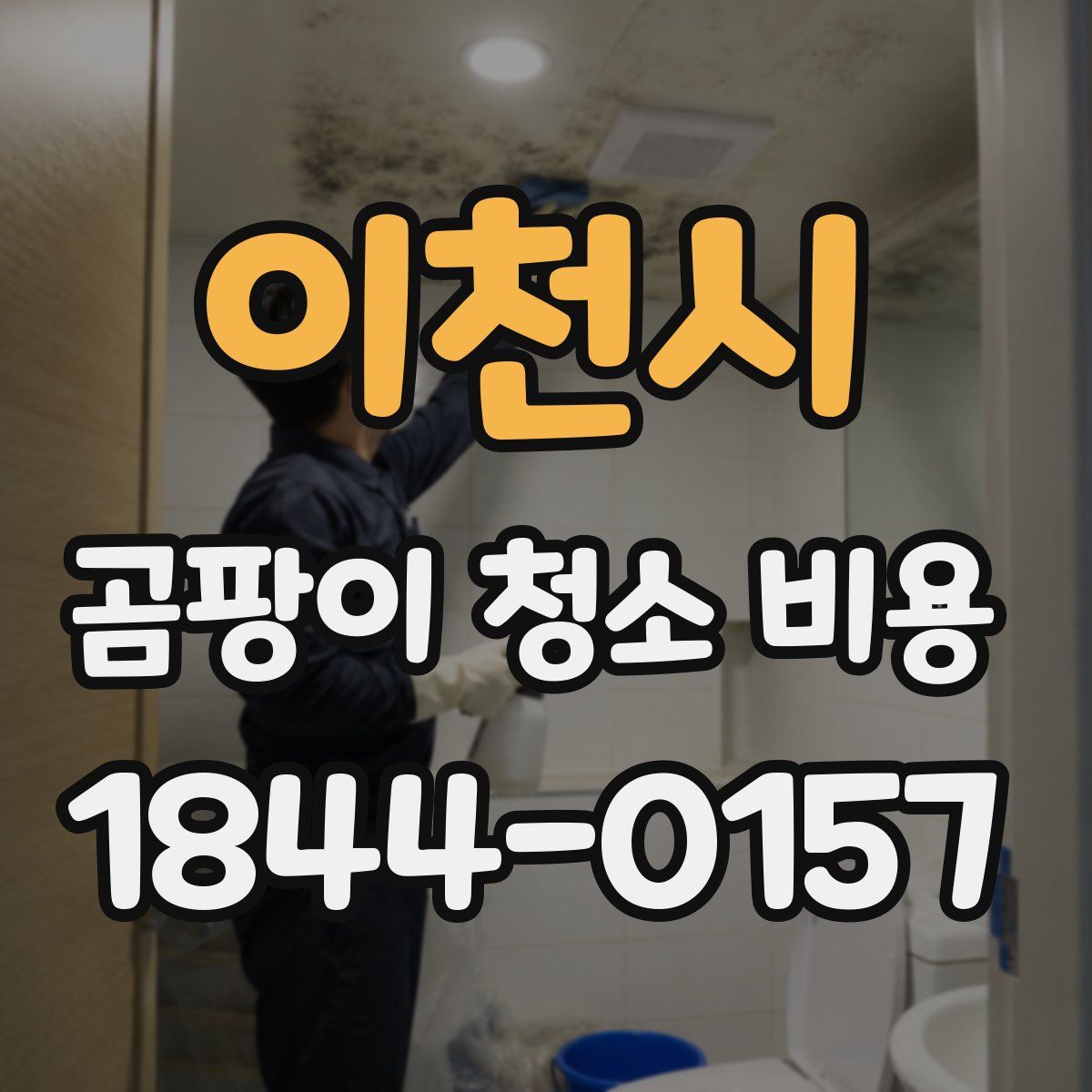 이천시 곰팡이 청소 비용