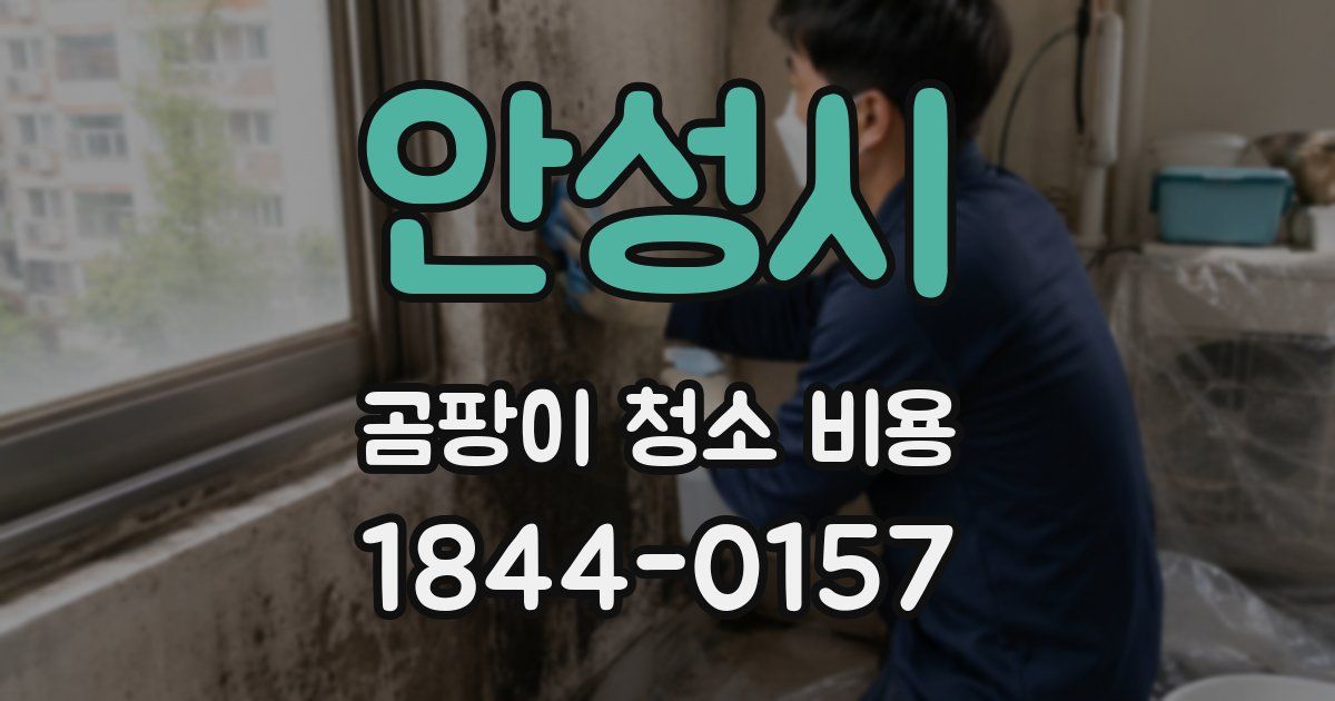 안성시 곰팡이 청소 비용