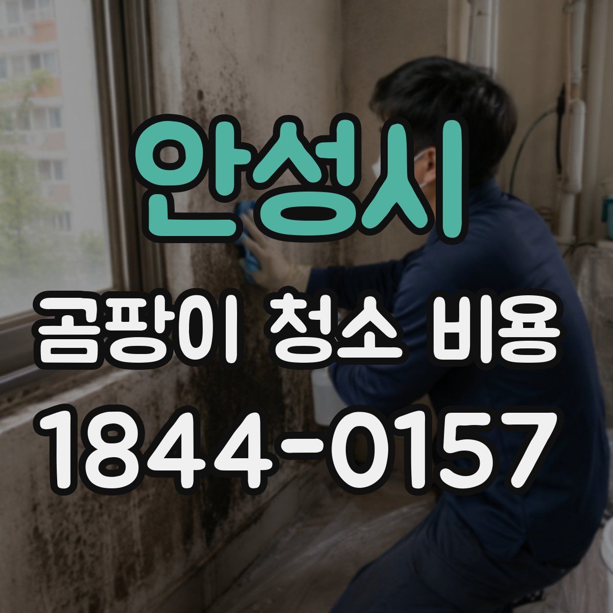 안성시 곰팡이 청소 비용