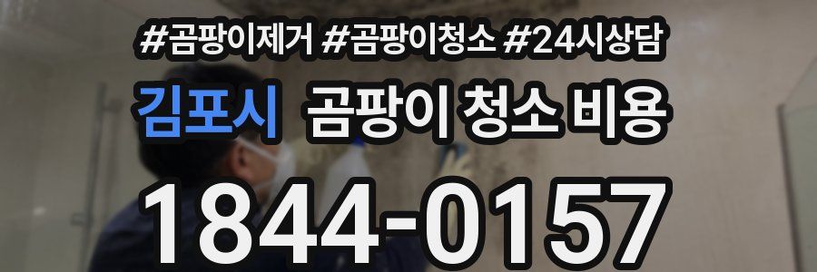 김포시 곰팡이 청소 비용