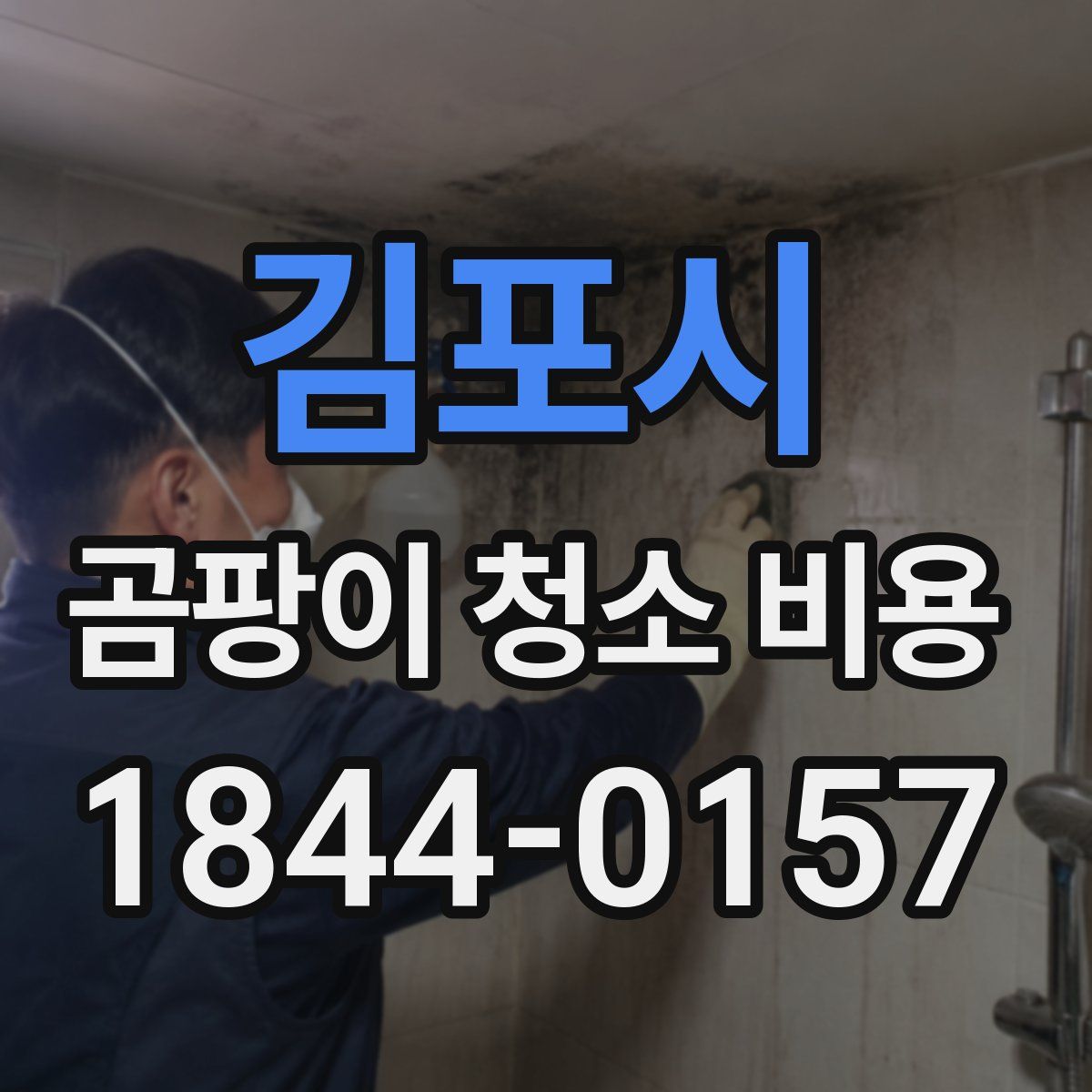 김포시 곰팡이 청소 비용