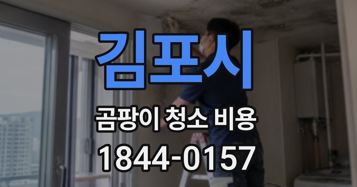 김포시 곰팡이 청소 비용