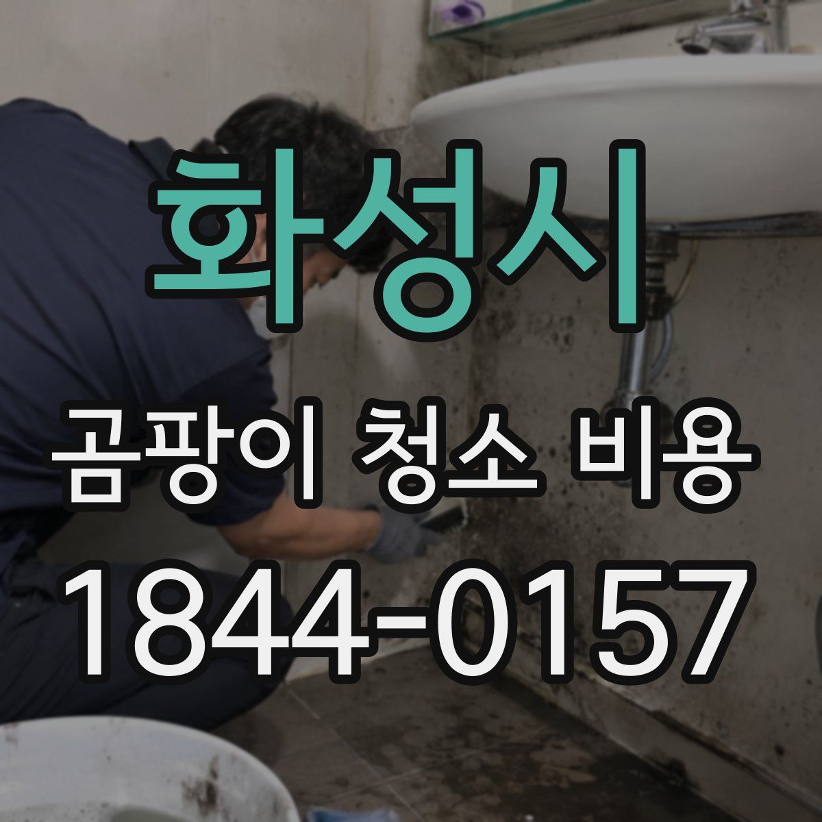 화성시 곰팡이 청소 비용