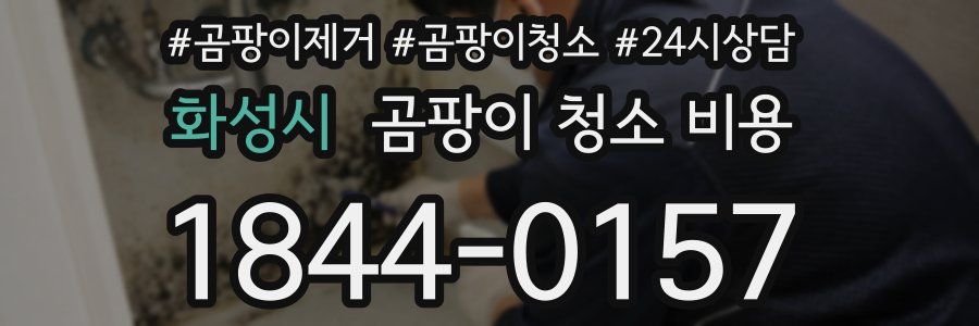 화성시 곰팡이 청소 비용