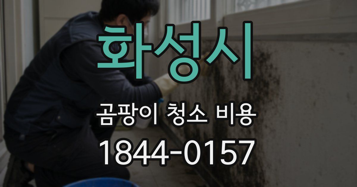 화성시 곰팡이 청소 비용