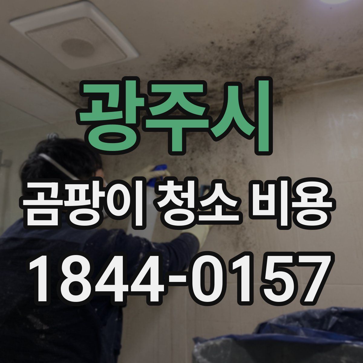 광주시 곰팡이 청소 비용