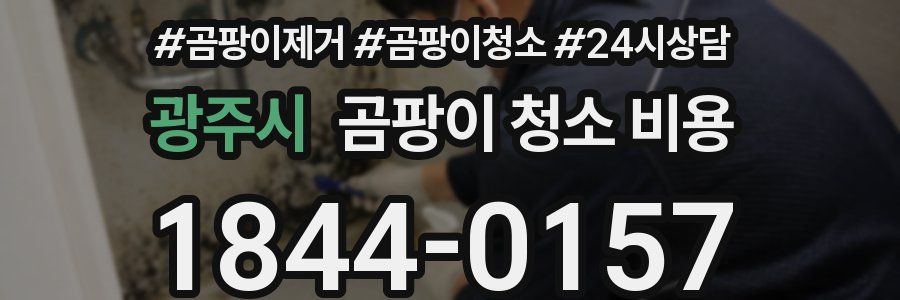 광주시 곰팡이 청소 비용