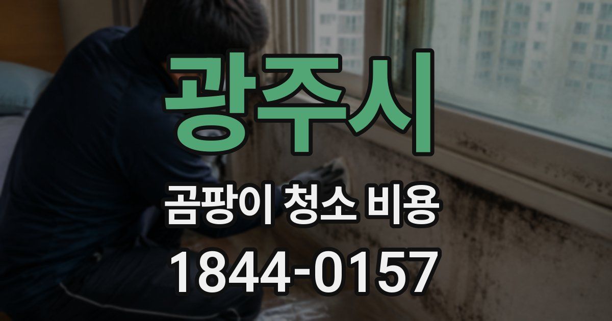 광주시 곰팡이 청소 비용