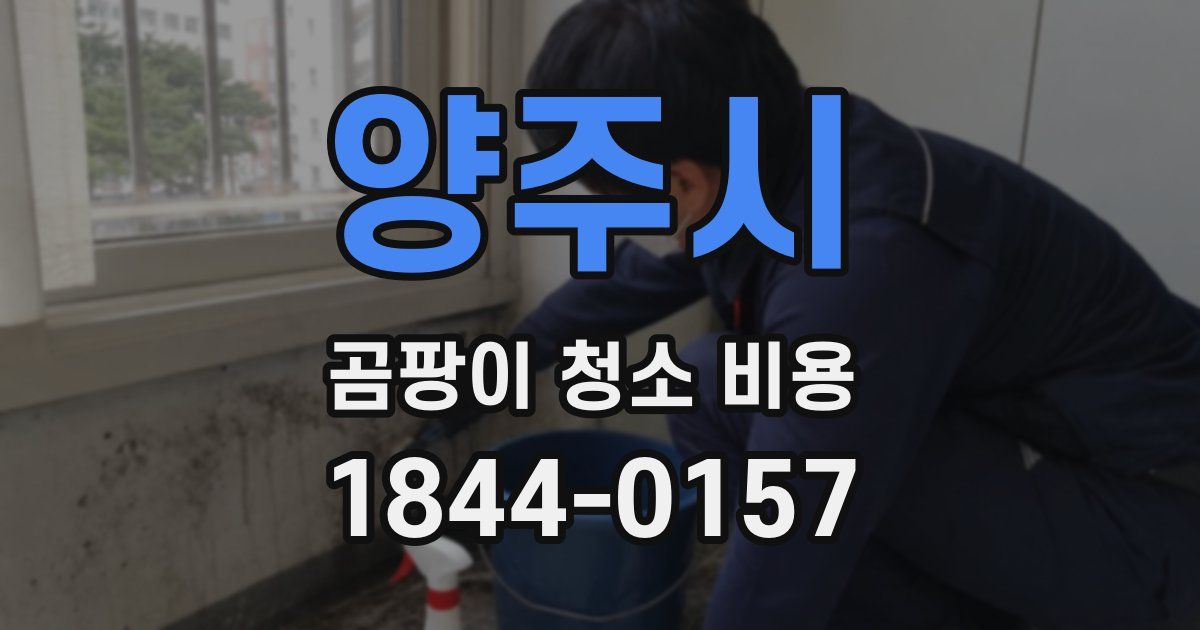 양주시 곰팡이 청소 비용