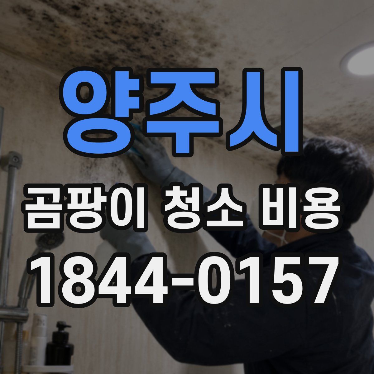 양주시 곰팡이 청소 비용