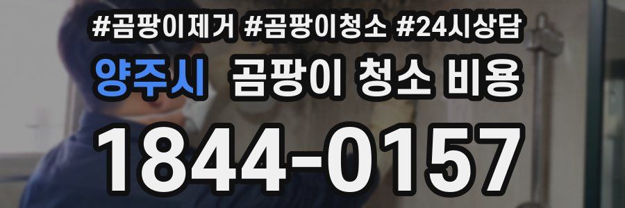 양주시 곰팡이 청소 비용