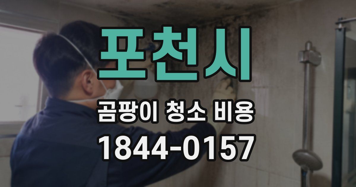 포천시 곰팡이 청소 비용