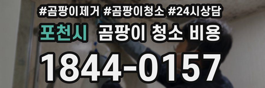 포천시 곰팡이 청소 비용