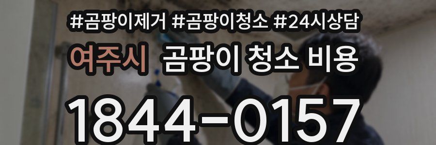 여주시 곰팡이 청소 비용